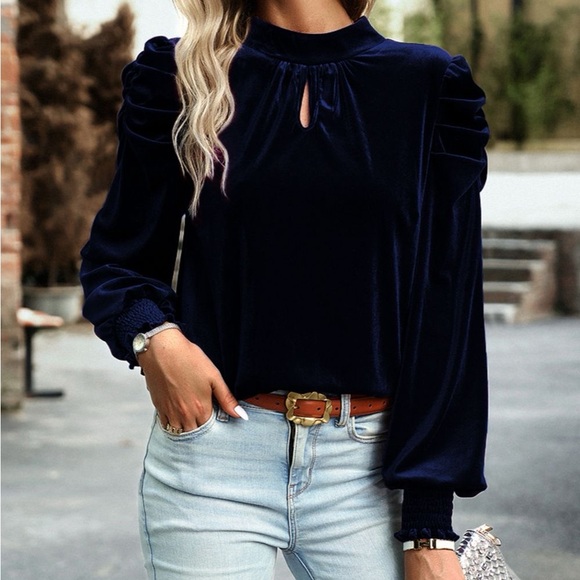 Tie Up Mock Neck Velvet Fabric Long Sleeve Blouse - Picture 9 of 12